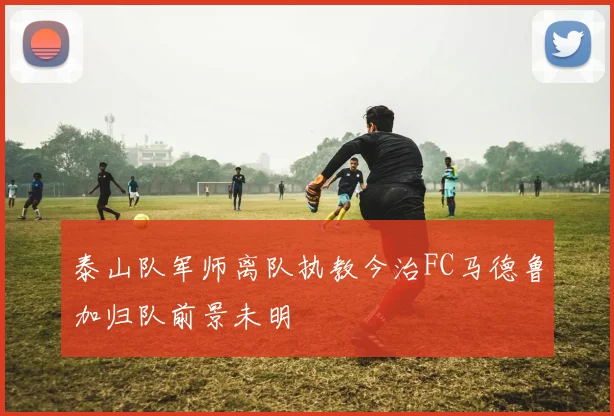 泰山队军师离队执教今治FC马德鲁加归队前景未明