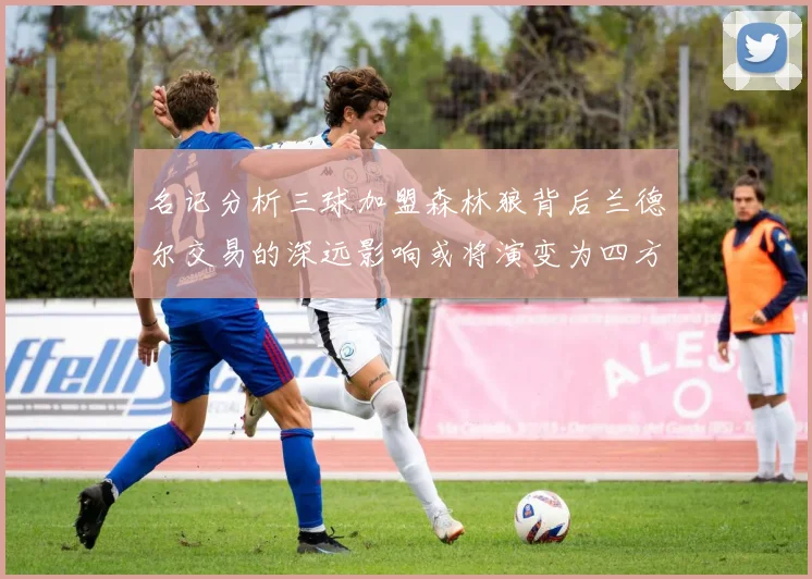 名记分析三球加盟森林狼背后兰德尔交易的深远影响或将演变为四方交易